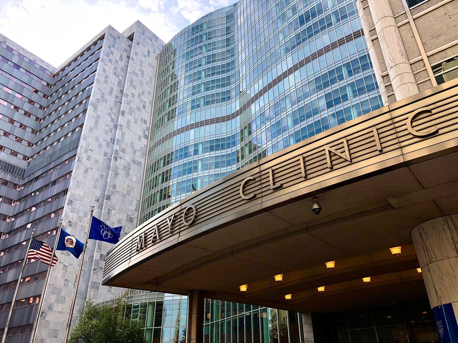Mayo Clinic Executive Health 2