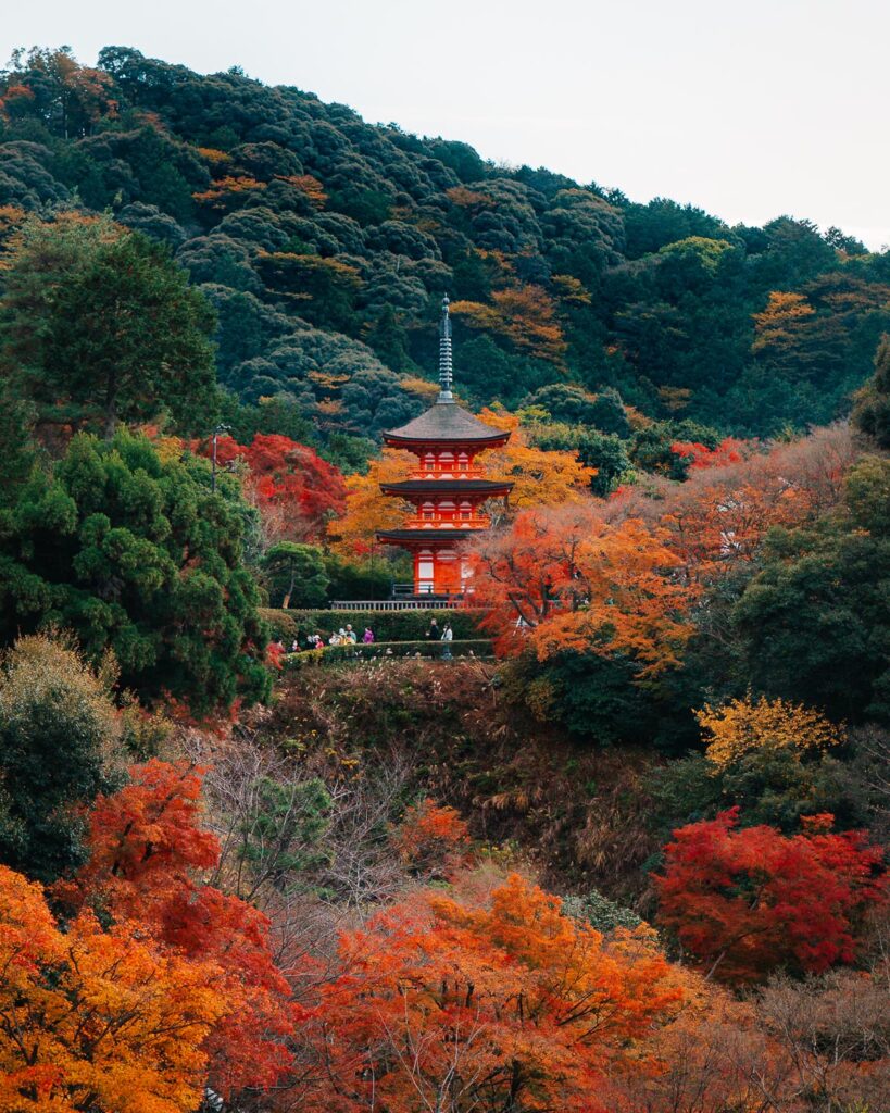 Japan in Autumn: The Ultimate Private Travel Guide