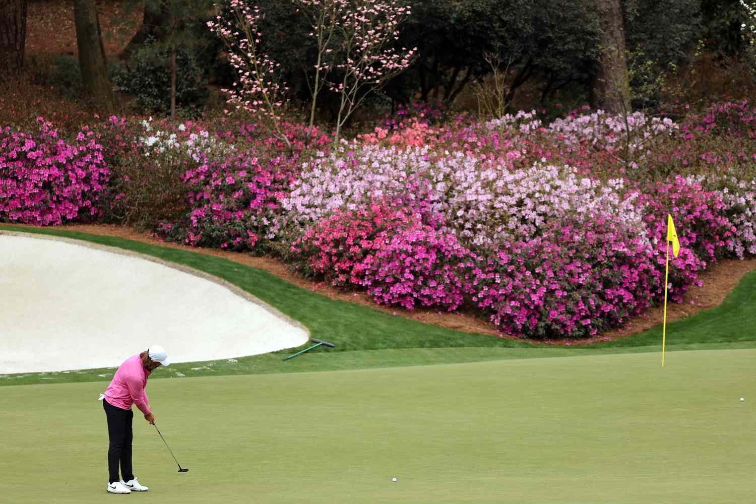 The Masters gallery 2