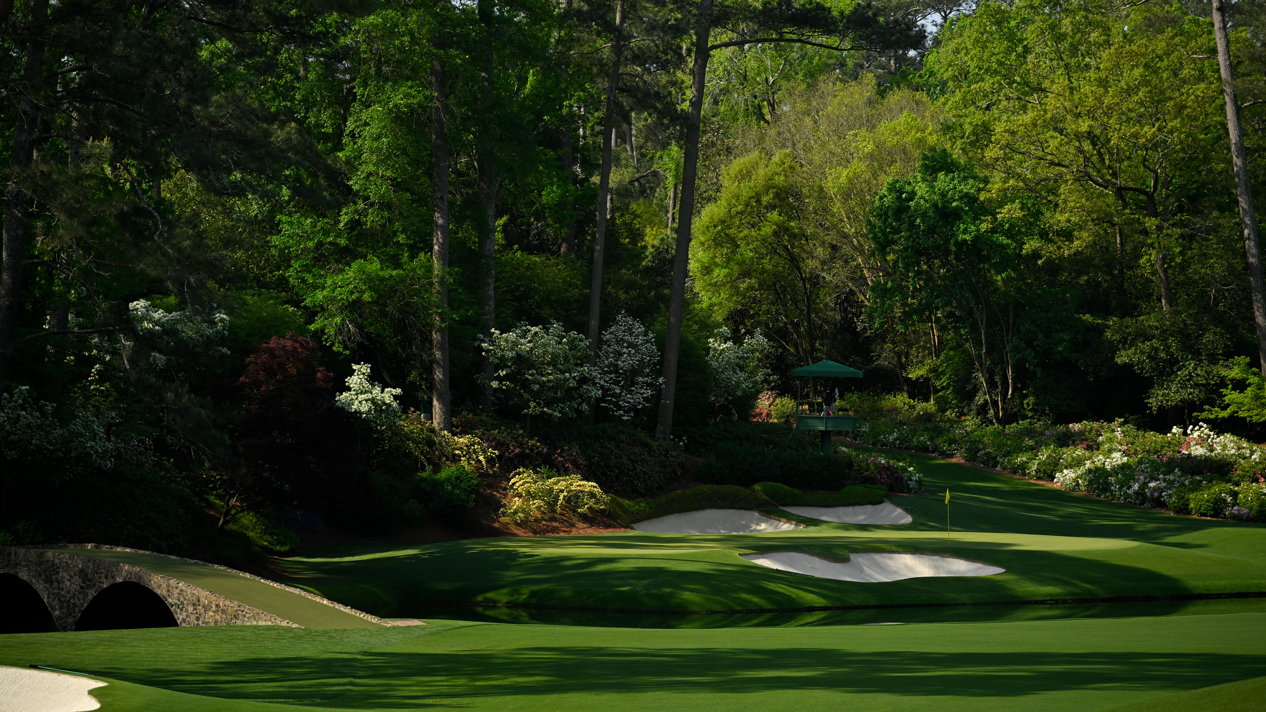 The Masters gallery 3