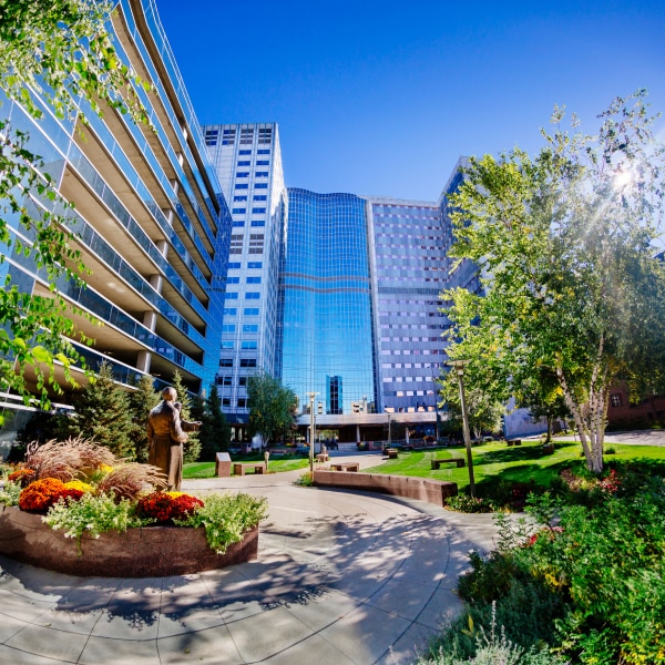 Mayo Clinic Executive Health 1