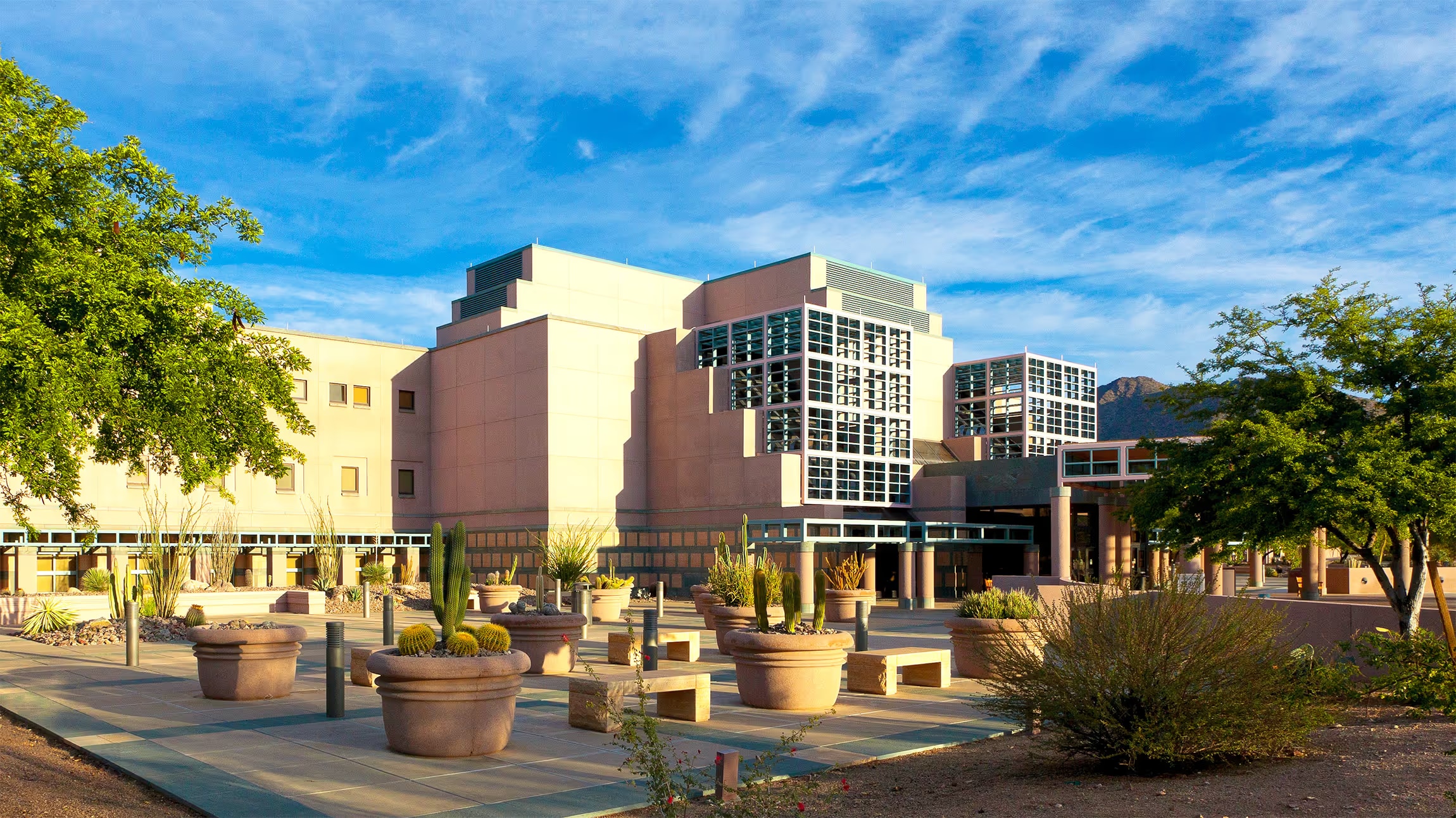 Mayo Clinic Executive Health